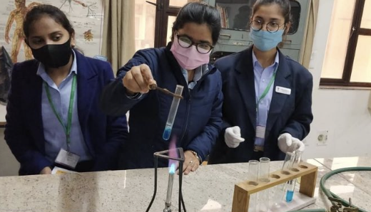 Drug Standardization, Quality Control, and Quality Assurance